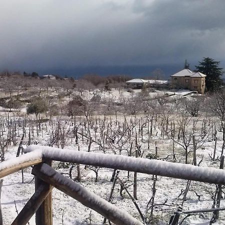 Villa Etna Masi' 밀로 외부 사진